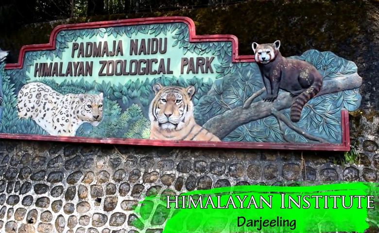 Darjeeling Himalayan Zoo